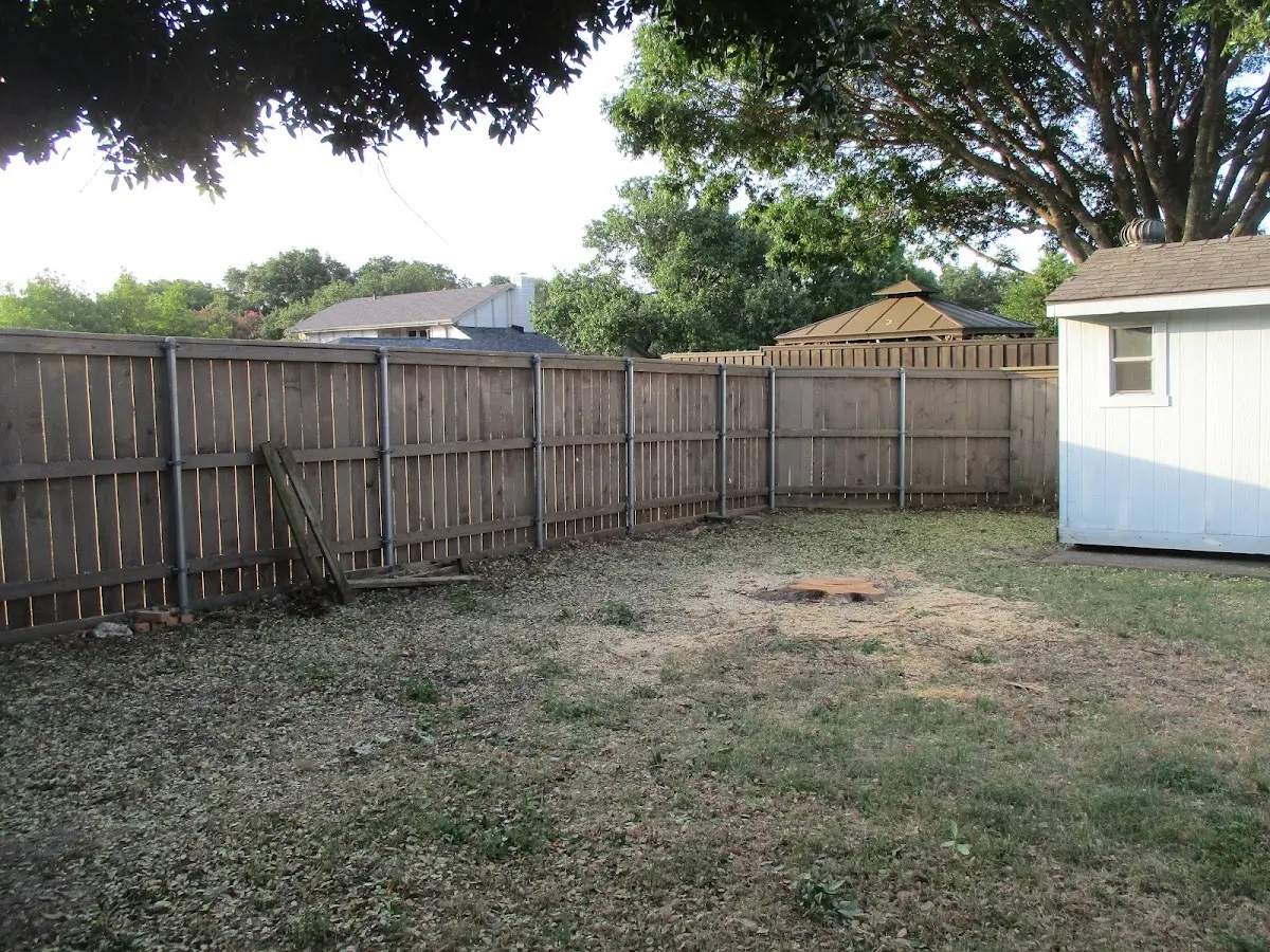 Cleared yard after professional tree removal in Elmora